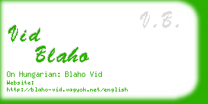 vid blaho business card